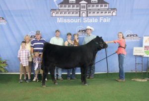 Reserve Grand Champion Female