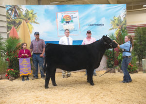 4th Overall Lim-Flex Owned Heifer AUTO Donya 207D Owned by: Ryleigh Morris, MO