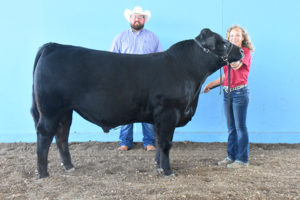 Rs. Grand Champion B&O Bull