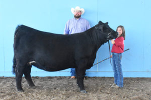 Grand Champion Female