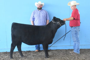 Reserve Grand Champion Female