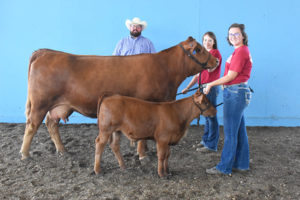 Grand Champion Pair