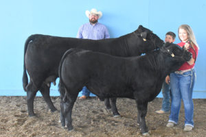 Reserve Grand Champion Pair