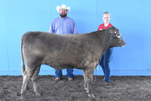 Reserve Grand Champion Steer