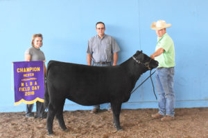 Grand Champion Heifer