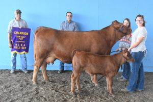 Grand Champion Pair